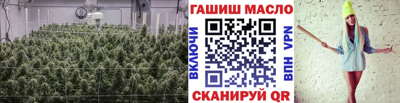 ТГК Wax  дарнет шоп  Долгопрудный 