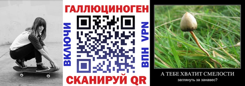 где найти наркотики  Долгопрудный  Псилоцибиновые грибы Magic Shrooms 