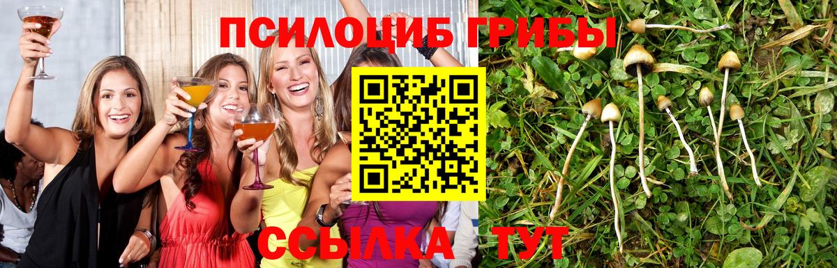 Галлюциногенные грибы MAGIC MUSHROOMS Долгопрудный