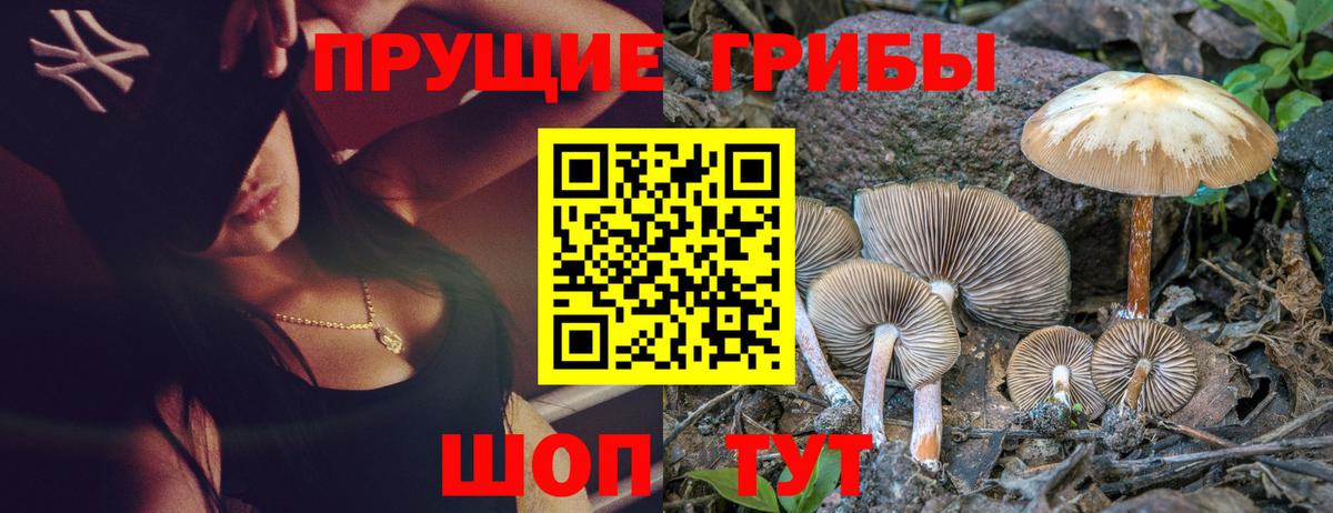 Галлюциногенные грибы MAGIC MUSHROOMS  Вход с VPN  Долгопрудный 